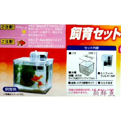 新鮮魚水族館 實體店面kotobuki 金魚飼育缸 迷你魚缸透明塑膠缸 附過濾器上蓋 蝦皮購物