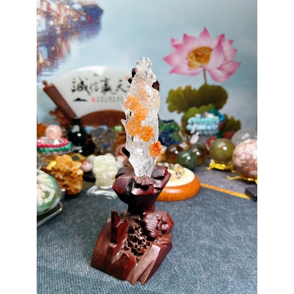 天然水晶-鸚鵡雕刻件 白水晶與紅兔毛的晶體，俏色巧雕👍🏻