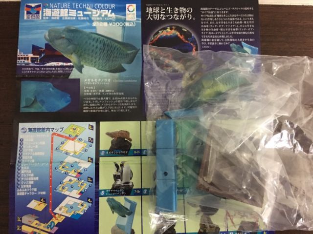 真動國 奇譚ntc 圖鑑海遊館限定鯨鯊蘇美魚鬼蝠魟合售太平洋大水槽 蝦皮購物