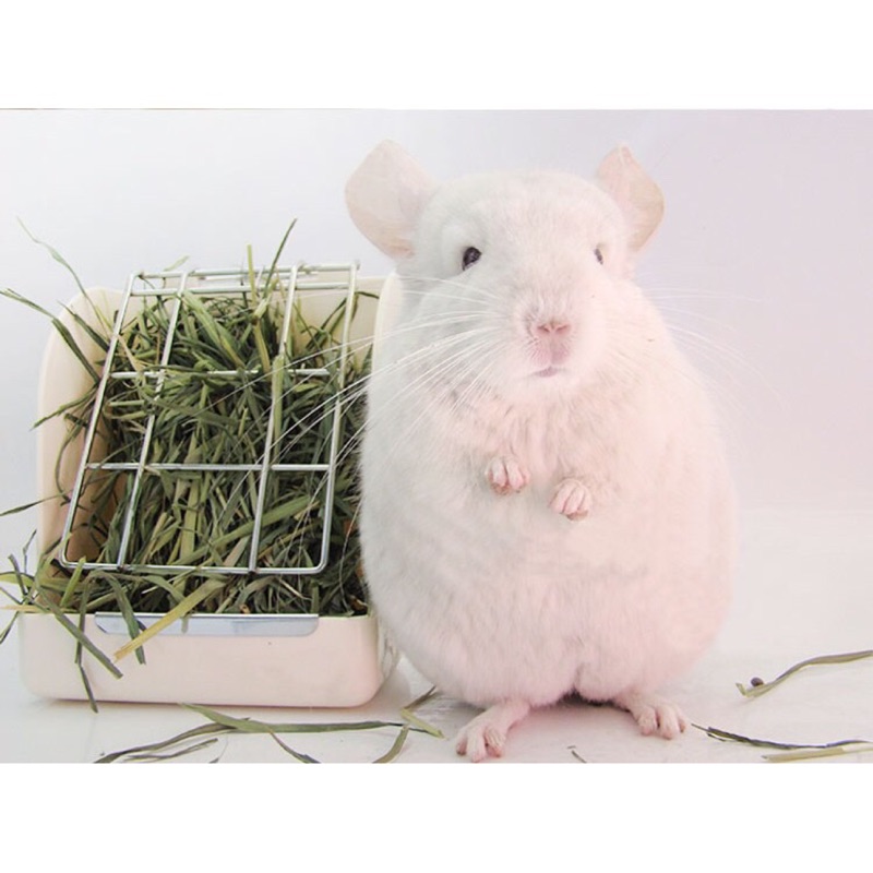 日式牧草架（白色）草架 天竺鼠 兔子 15*10*18cm