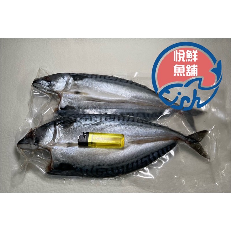 【悅鮮魚舖】日本鯖魚一夜乾一隻約400g_炭烤、烤箱、乾煎