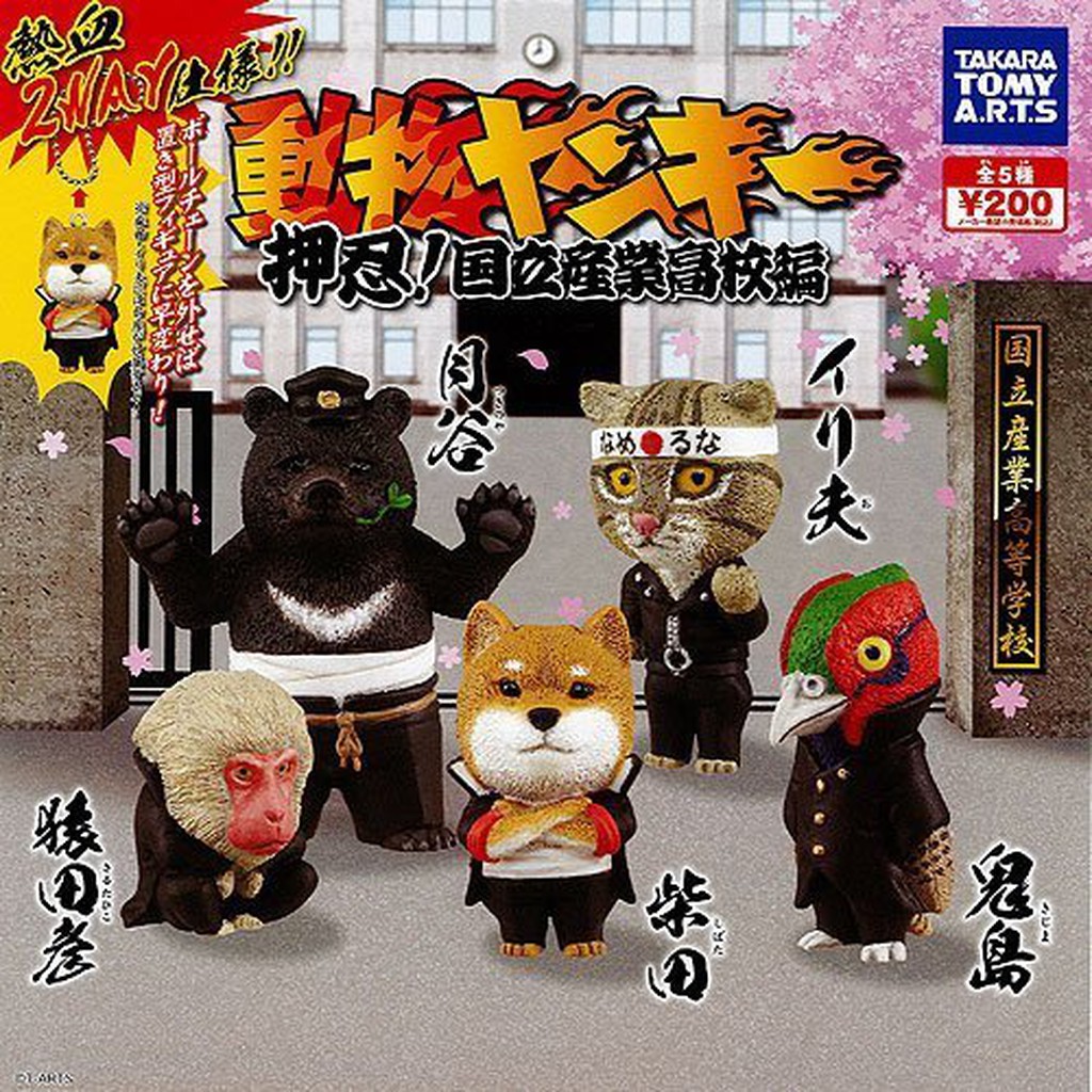 動物高校生動物不良少年的價格推薦 22年10月 比價比個夠biggo