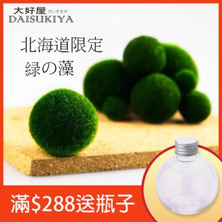 水草瓶 優惠推薦 21年7月 蝦皮購物台灣