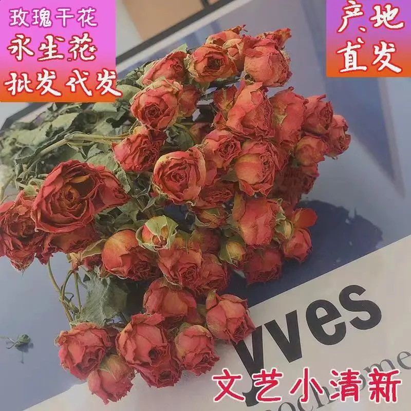 超級美麗雲南多頭玫瑰乾花天然真花束薔薇浪漫泡泡小清晰新家居家裝飾ins鮮花花瓶插花 蝦皮購物