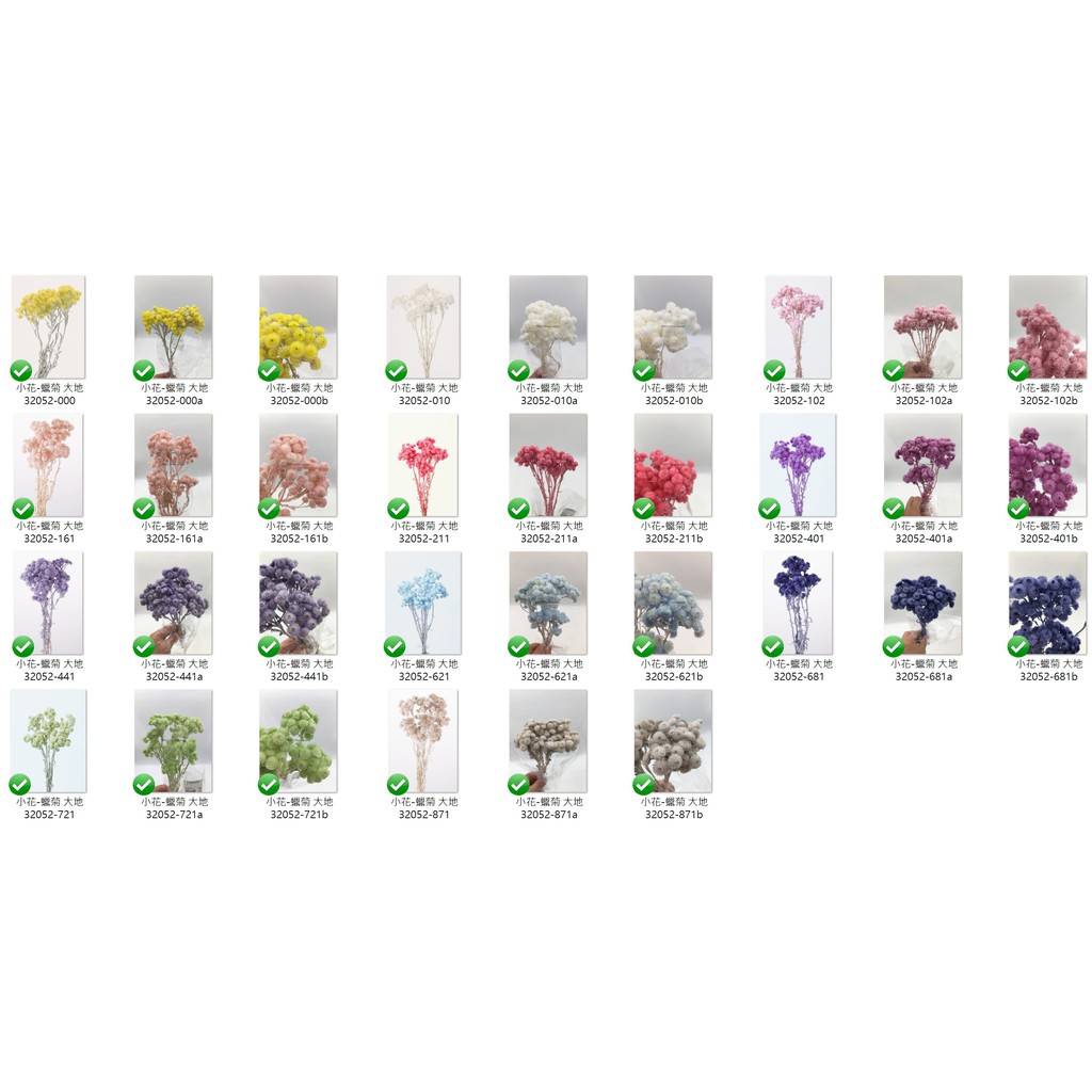 Truly 可刷卡 乾燥蠟菊352 大地農園乾燥花蠟菊花日本空運進口 滿額另有折扣 蝦皮購物
