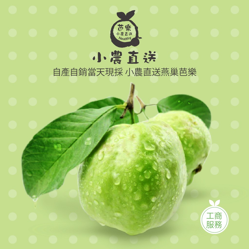 小農直送 免運費 燕巢芭樂自產自銷當天現採團購伴手禮珍珠芭樂牛奶芭樂無毒栽培水果好市多costco 蝦皮購物