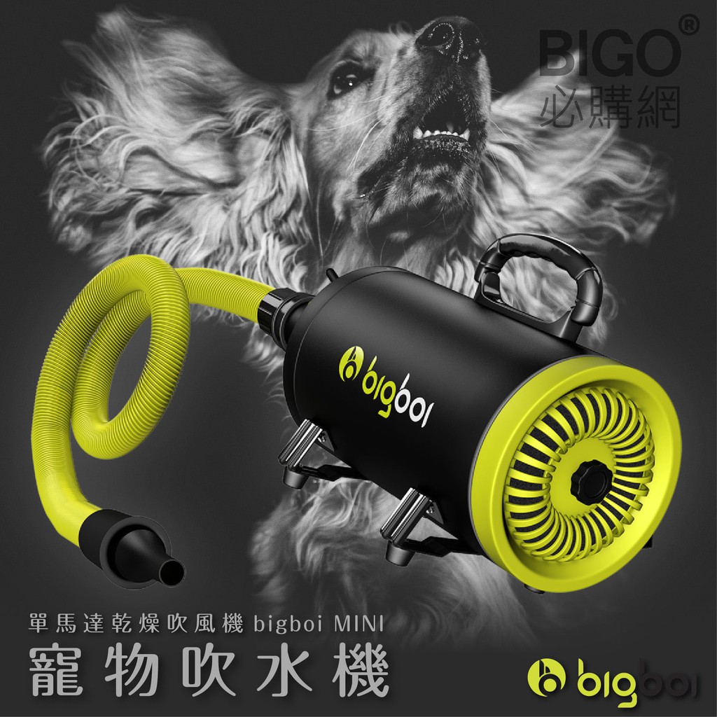 現貨免運~Bigboi-MINI單馬達/雙馬達MINI PLUS 吹風機 低噪音 寵物吹水機 吹風機 吹毛機 吹乾機