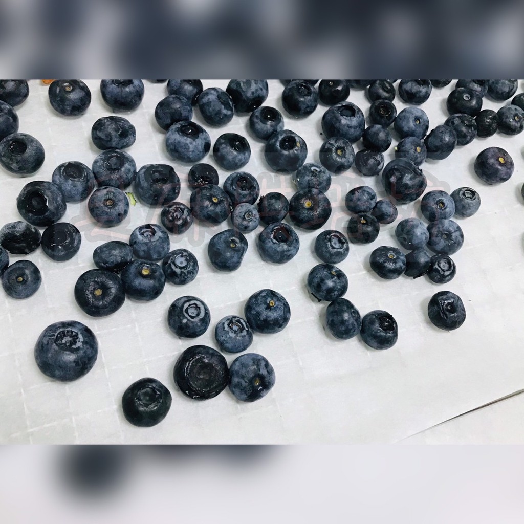 貝麻手作 新鮮現烘藍莓乾 好吃又健康 好吃不膩口純天然無添加寵物人可食用無糖低熱量 蝦皮購物