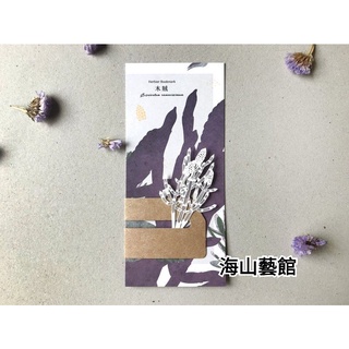 海山藝館 FERN ONLY 只有蕨 蕨類標本紙雕 - 木賊