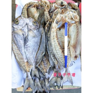 現貨【澎湖現撈】澎湖野生象魚一夜乾 臭肚魚乾 一夜乾600g