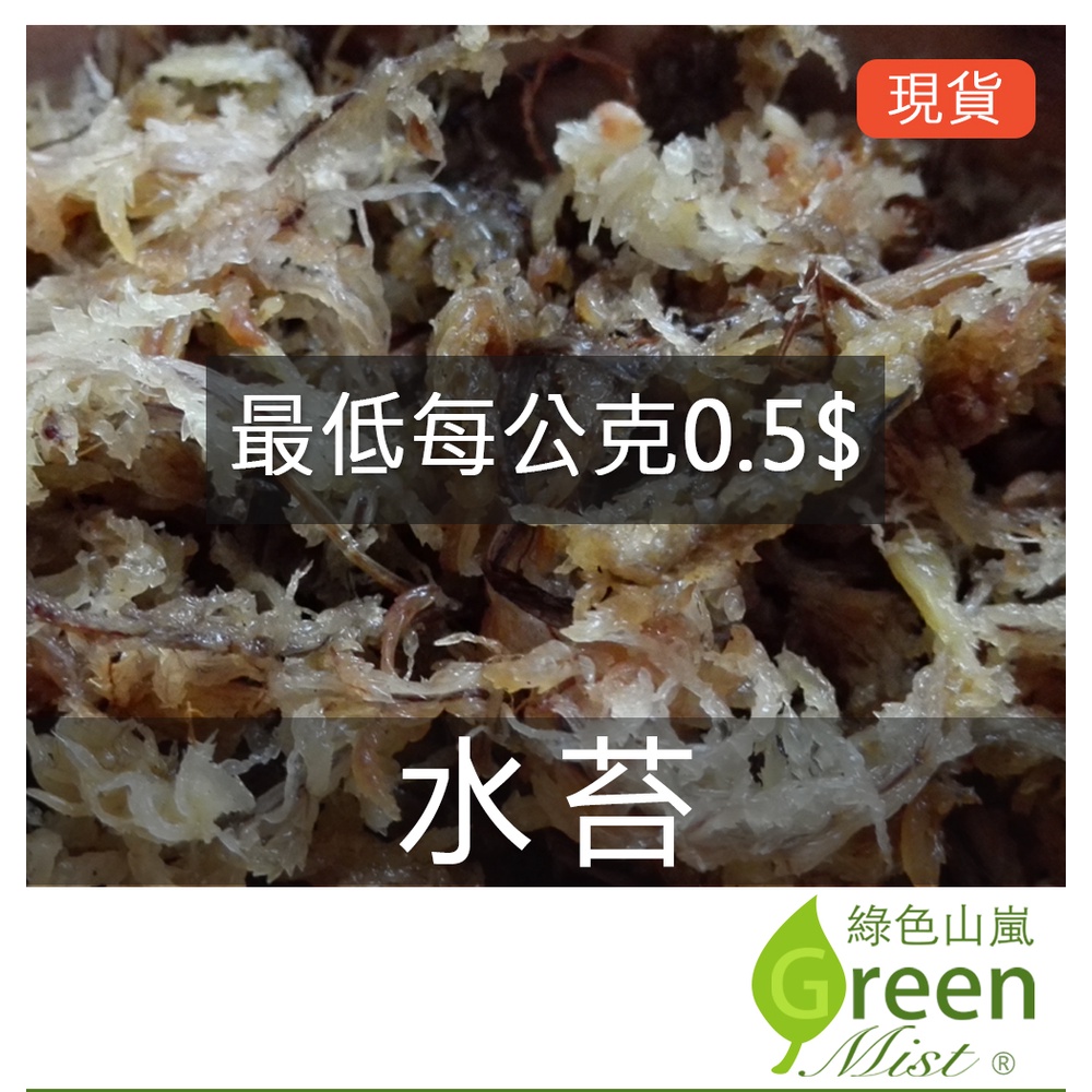 現貨 水苔 智利 中國 乾燥水苔乾燥水草鹿角蕨介質食蟲植物介質蘭花介質昆蟲保濕 綠色山嵐 蝦皮購物