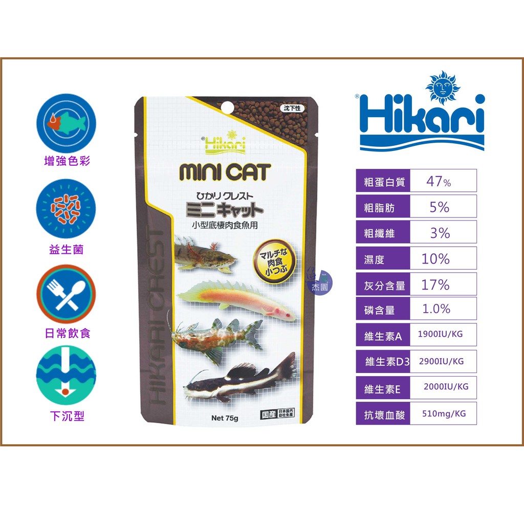 小型肉食魚 Ptt Dcard討論與高評價網拍商品 21年10月 飛比價格