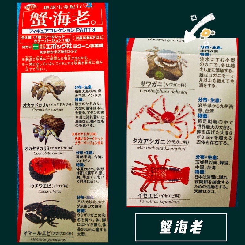 地球生命紀行3蟹海老全8款 7 1隱 扭蛋 蝦皮購物