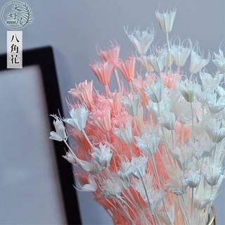 大好屋 臺灣現貨 木百合 大份量一束50朵裝 八角花材 木百合乾燥花 小百合 玻璃花盅 花罩 永生花 盆花 插花 DIY