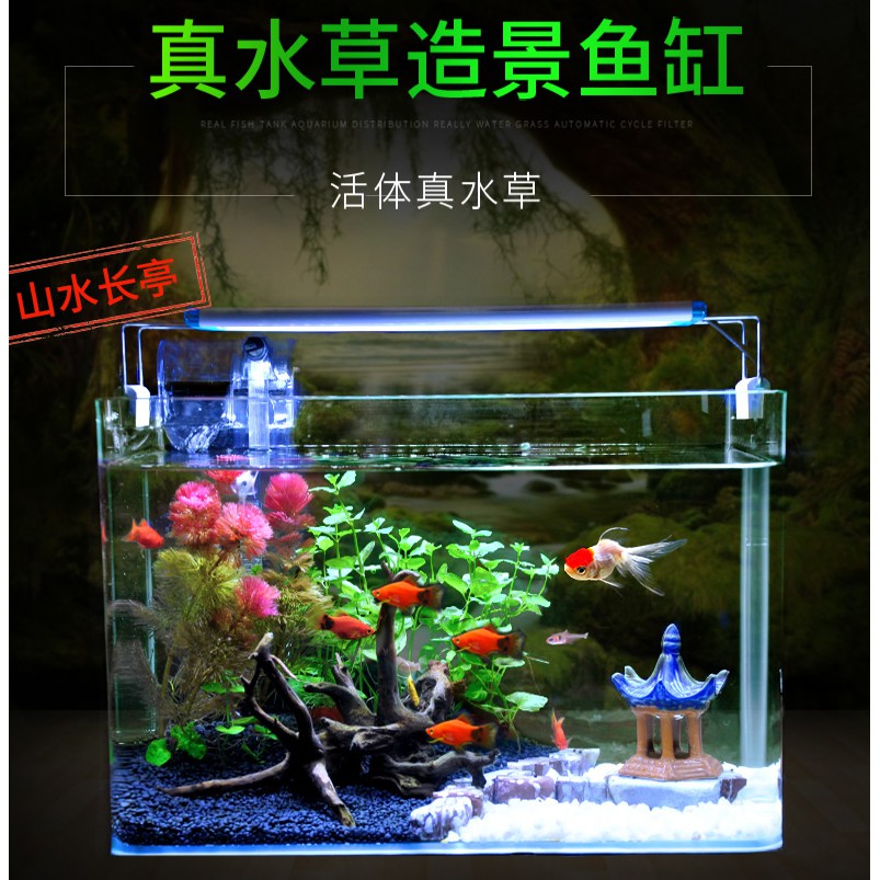 現貨速發 真水草玻璃魚缸水族箱小型客廳桌面家用生態草缸裝飾造景金魚缸 蝦皮購物