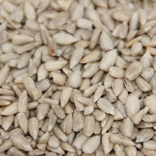 葵花籽仁 優惠推薦 22年7月 蝦皮購物台灣