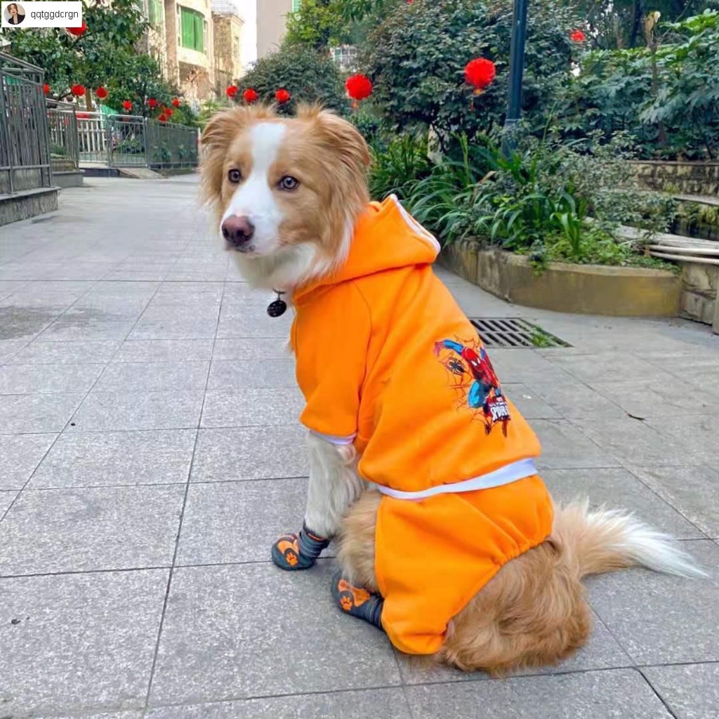 萌寵小屋 中大型犬衣服大狗狗拉布拉多金毛衣服大中型犬薩摩耶哈士奇寵物邊牧秋冬裝四腳狗衣服寵物衣服寵物服飾