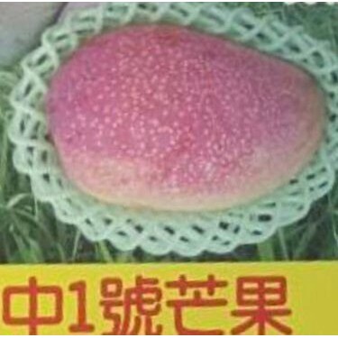 水果苗 中一號芒果 口感類似台中一號芒果 4 5吋盆 高40 60公分 香甜好吃 花花世界玫瑰園 R 蝦皮購物