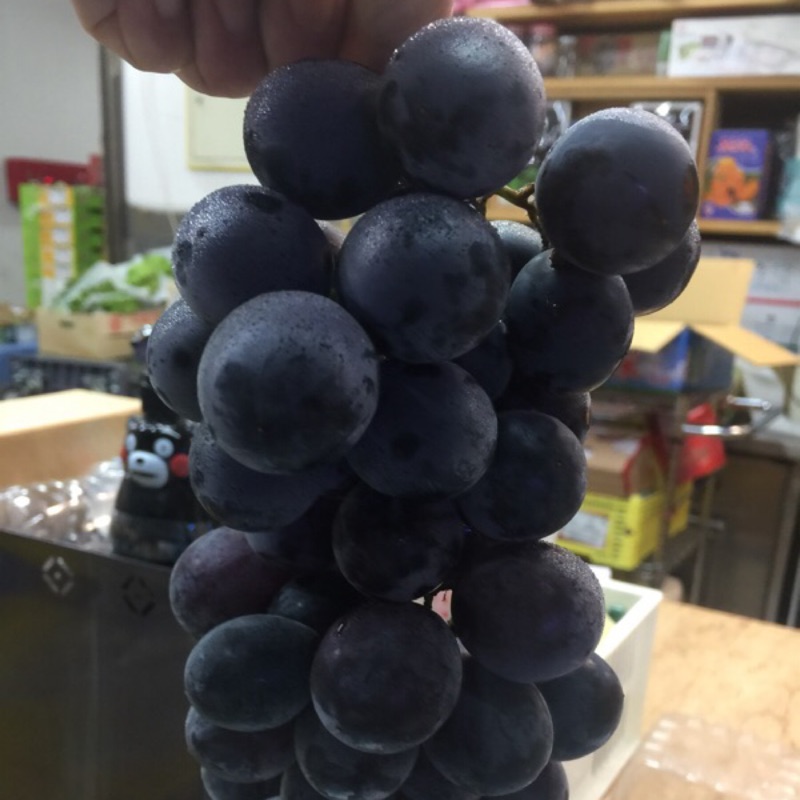 溫室特級巨峰葡萄5公斤裝整串6-9串裝| 蝦皮購物