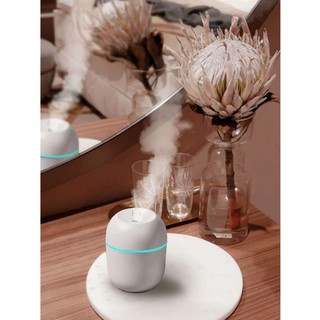 【樂樂生活精品】桌上型USB迷你加濕器 (請看關於我) 670118