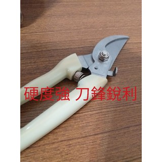 現貨 園藝剪刀 剪刀 不鏽鋼剪刀 剪果樹花枝剪刀 粗枝剪刀 工具剪刀 園藝修剪 園藝修剪刀