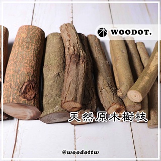 【天然原木樹枝】木頭 攀爬 昆蟲 獨角仙 鍬形蟲 甲蟲 兩棲 爬蟲 造景 樹枝 帶樹皮 飼養 墊材『WOODOT.木點』