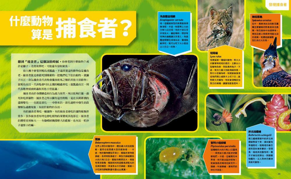 國家地理終極捕食動物百科 有史以來最完整的世界捕食動物大全 克麗絲汀娜 威爾斯頓eslite誠品 蝦皮購物
