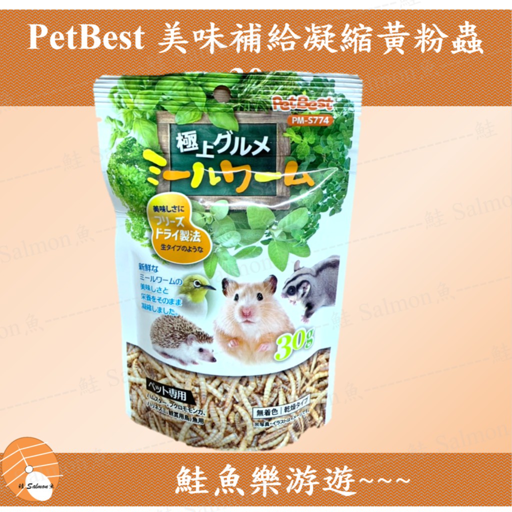 【鮭魚樂游遊】PetBest 美味補給凝縮黃粉蟲 麵包蟲 30g 適合蜜袋鼯 鼠 鳥