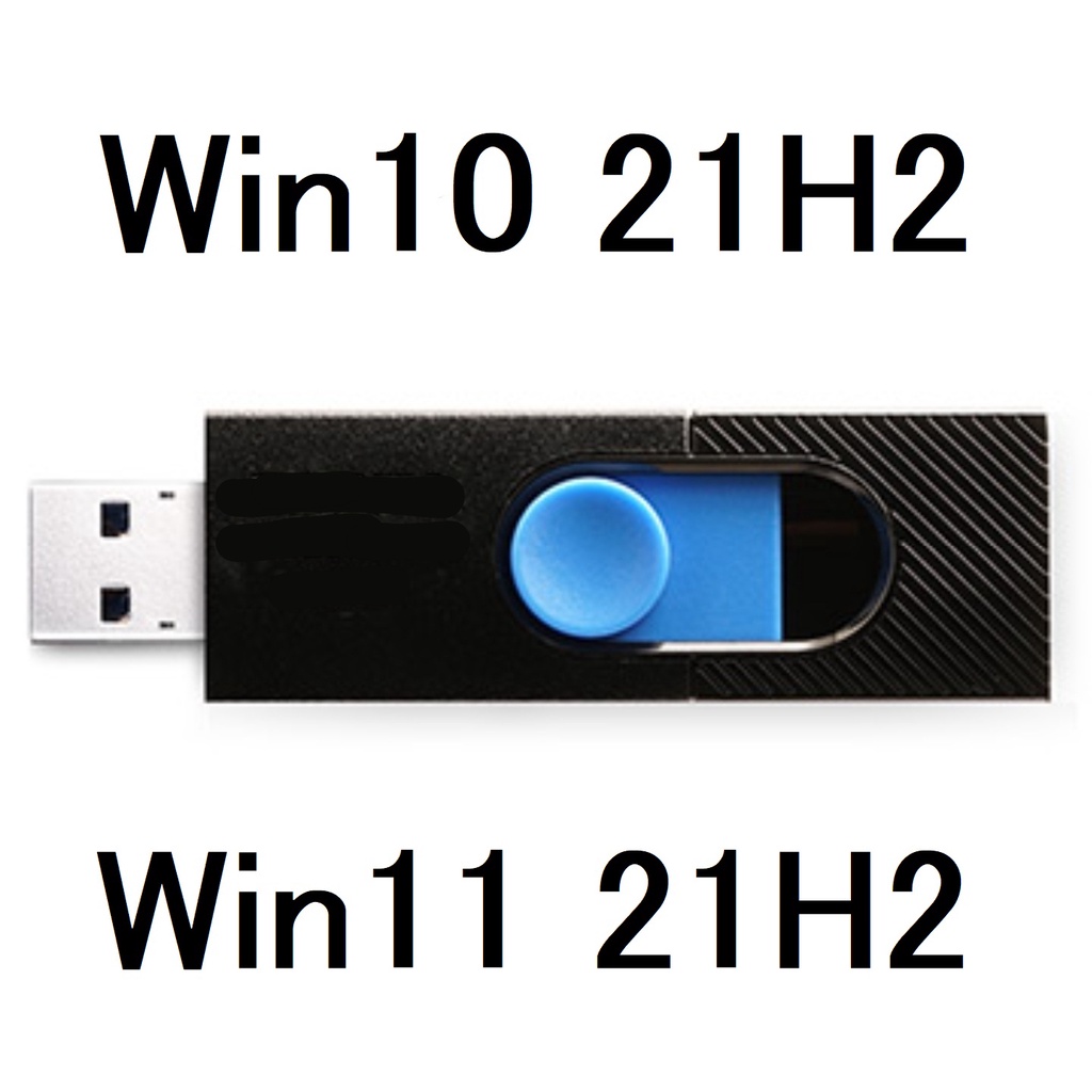 Win10 Win11 Windows 10 Windows 11 重灌隨身碟 系統安裝碟 USB3.0 重灌USB