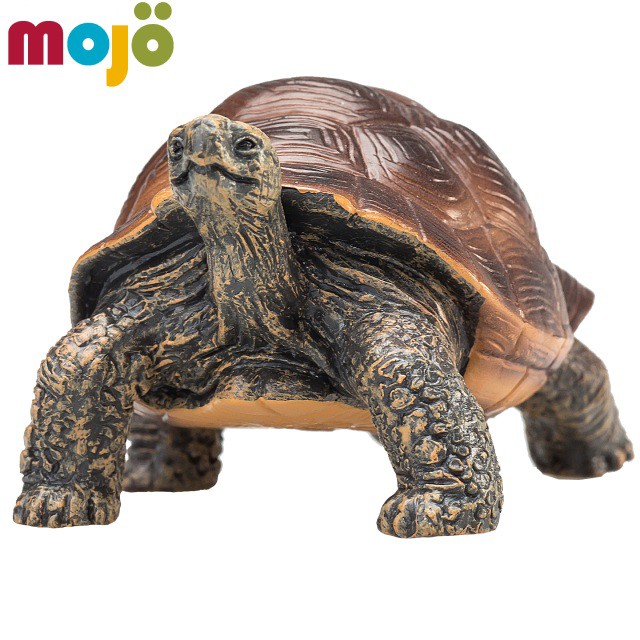 Mojo Fun動物模型-巨陸龜