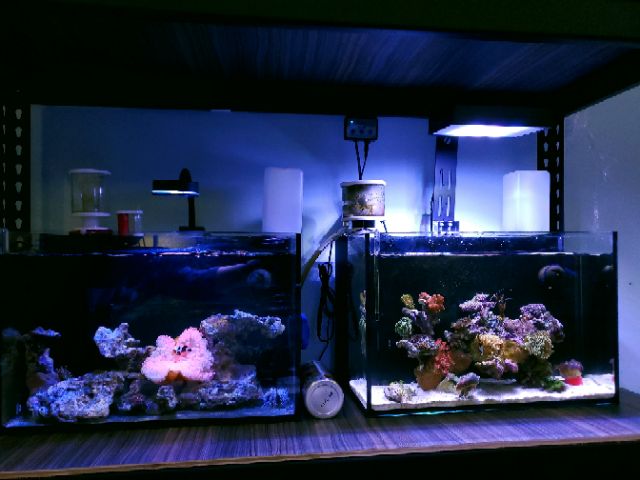 傑米水族 一尺半背濾套缸1 5尺45 45 30 含蛋白沉馬燈具魚缸比重計海水素新手設缸 蝦皮購物