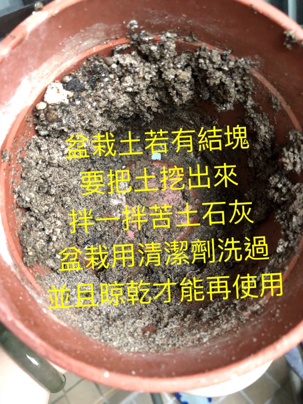 苦土石灰 鎂石灰鈣鎂肥 三包100 植物青枯病可用 500公克分裝包 非燒蚵殻粉草木灰 蝦皮購物