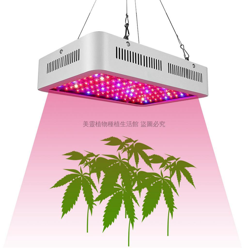 【超高性價比】花果提前一週量產 臺灣爆款植物燈1000W大功率 LED植物大棚生長補光燈 全光譜植物燈