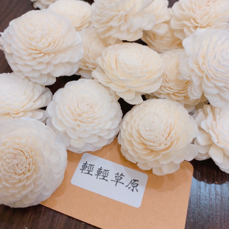 米白無心菊索拉花🌹擴香花 4.5cm無心菊 批發價 乾燥花 花材 花藝創作 花藝材料 乾燥花材 乾燥花束 通心草 材料