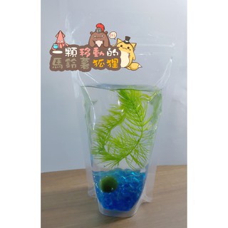 金魚藻 綠藻球 琉璃砂 水袋組真水草 蝦皮購物