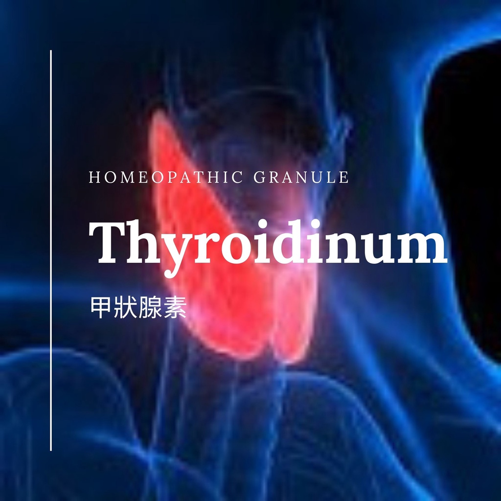 順勢糖球【Thyroidinum】➖懶散沒動力、喜歡甜食Homeopathic Granule 9克 食在自在心空間