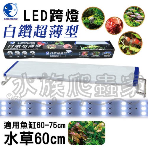 水族爬蟲家 Paopaozone 泡泡龍全白燈水草60cm Yx 60 白鑽超薄型led 跨燈白光水族燈 蝦皮購物