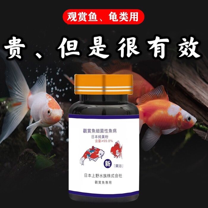 水族熱賣 日本黃粉金魚用觀賞魚專用養魚用品錦鯉水霉凈魚缸殺菌魚葯一掃光 蝦皮購物