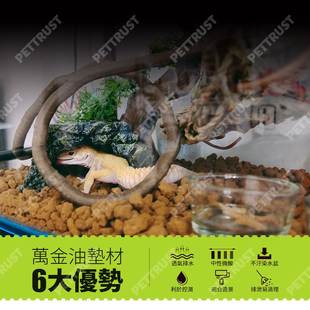台灣現貨 赤玉土爬蟲底材睫角守宮豹紋守宮肥尾守宮豹紋底材高溫滅菌800度睫角r屬守宮專用巨人守宮 蝦皮購物