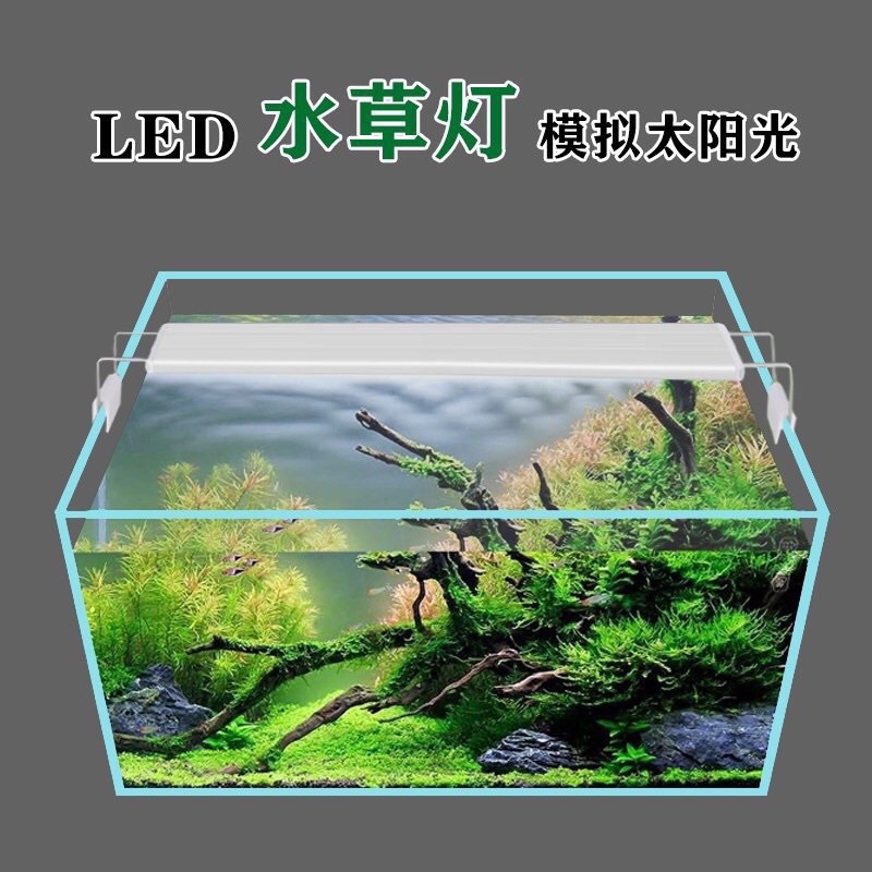 樂在 魚中 Led魚缸燈 魚缸跨燈水草燈水草燈全光譜小型專用防水照明超亮水族箱魚燈草燈架跨燈 蝦皮購物