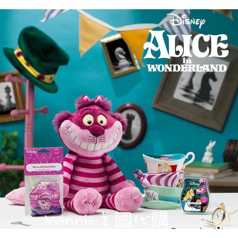 Winnie美國代購Disney Scentsy 愛麗絲杯子香氛燈加熱器 &amp; 妙妙貓香包娃娃👉下單前請通知
