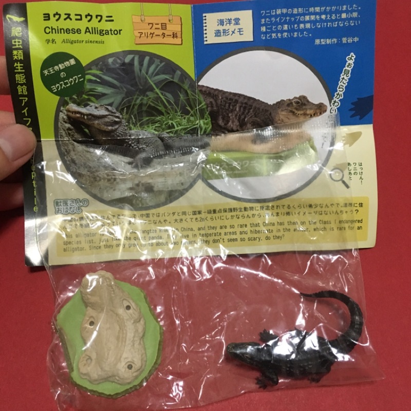 轉蛋扭蛋 海洋堂大阪天王寺動物園奇異鳥鱷魚 蝦皮購物