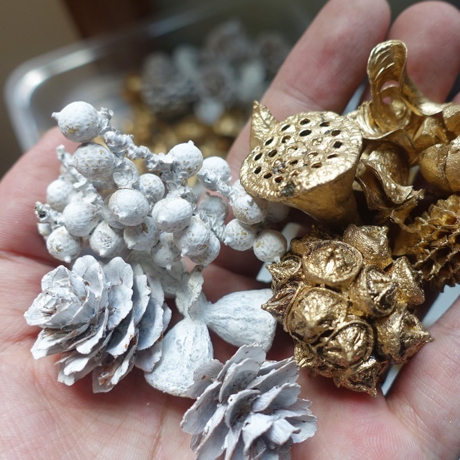 My Wonderful 實惠一盒 東京堂綜合果子 開心果 乾燥果實 胡椒果 松果 聖誕果 藤圈製作 天然乾燥花材 蝦皮購物