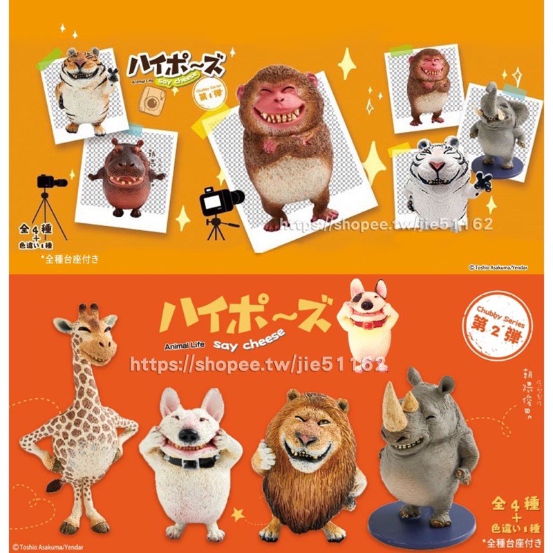 睿志小商舖 正貨朝隈俊男animal Life 圓滾滾笑嘻嘻第二彈盲盒確認款盒玩 蝦皮購物