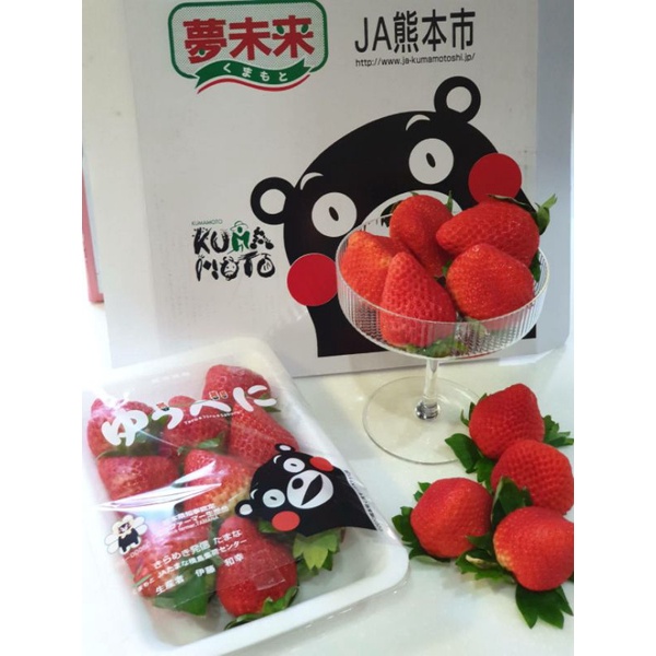 小宇王子®熊本小糖蜜草莓 熊本菊池草莓 溫室草莓 日本熊本草莓