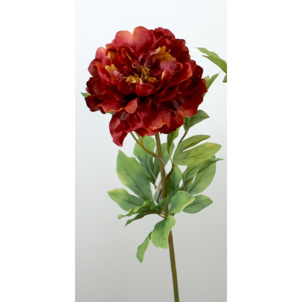 勁果uj 古典30吋牡丹 Peony 洛陽花 富貴花 新年 賀春 春節 訂製款 人造花 花藝設計 假花 蝦皮購物