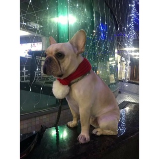 🔥火熱新上市 28寵物 現貨供應🔥🐶寵物耶誕節聖誕圍巾 聖誕帽針織 聖誕麋鹿鹿角裝飾頭罩系列🌟惡霸犬 位元犬 牛頭梗