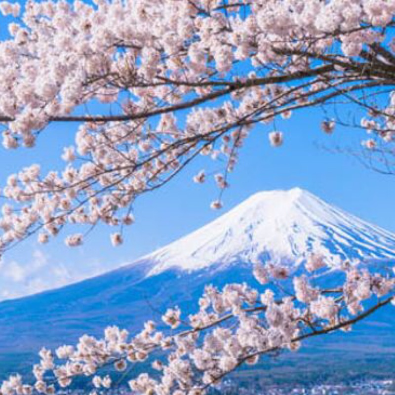 半價 Softbank原生卡4g吃到飽日本上網日本網卡 蝦皮購物