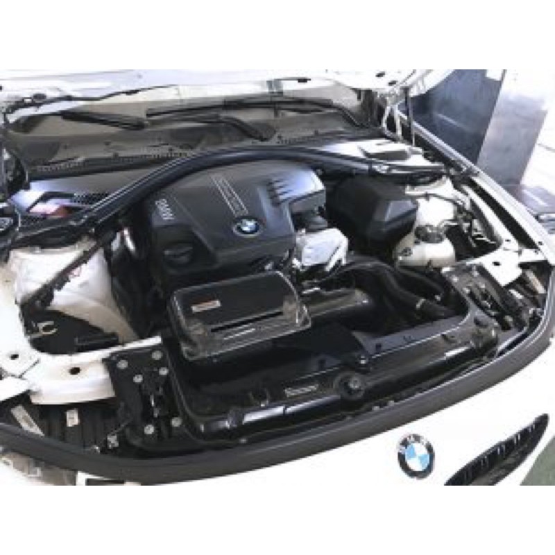 晟信 ARMASPEED碳纖維進氣系統 空濾 空氣濾芯BMW F20 125i F30 328i適用N20 報價後開賣場