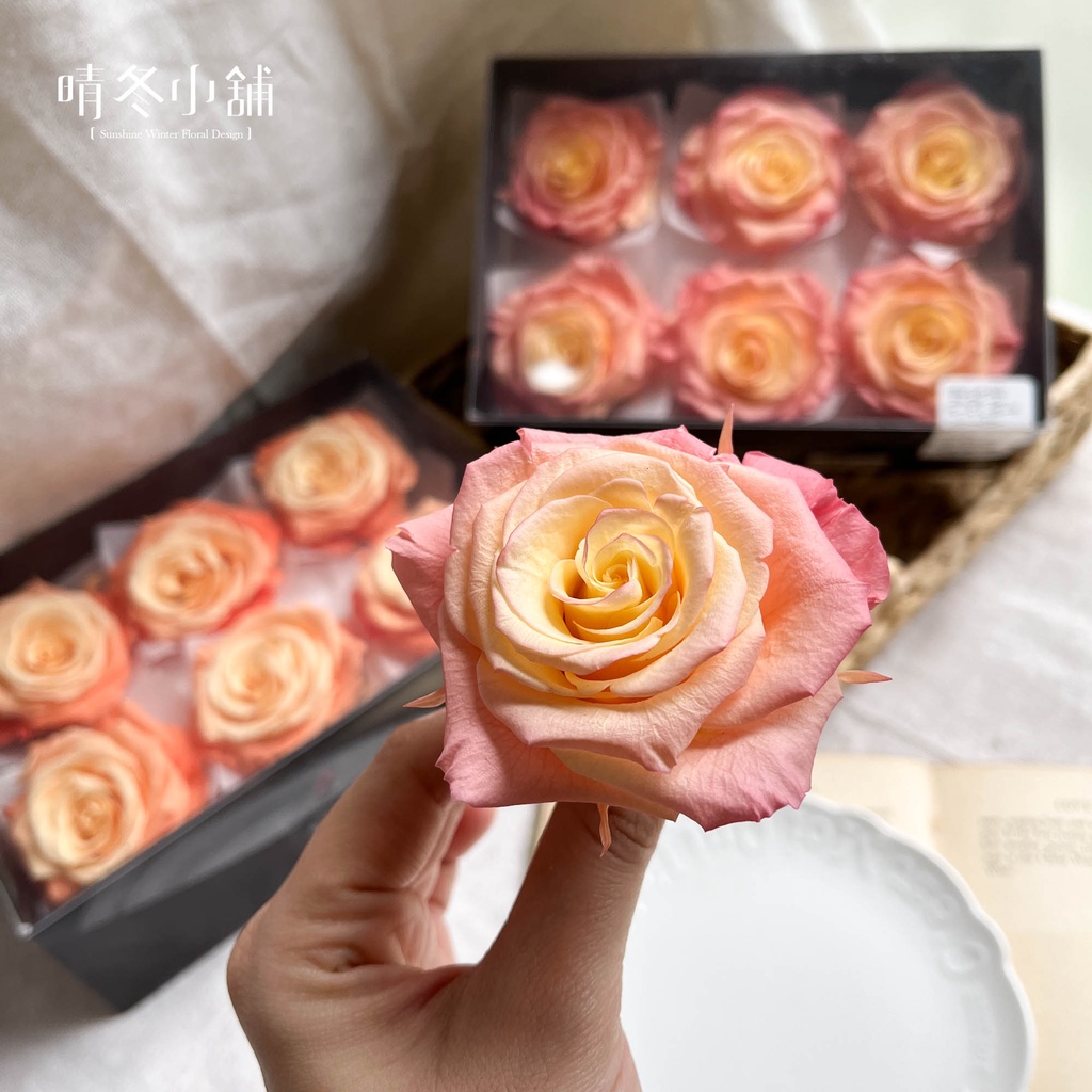 晴冬小舖 日本進口大地農園不凋滾邊漸層滿開玫瑰特大玫瑰不凋玫瑰花特殊漸層染色玫瑰不凋花永生花永生玫瑰